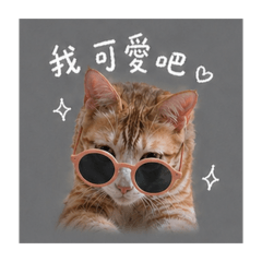 波小啾