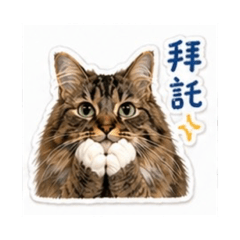 Lumimi表情包