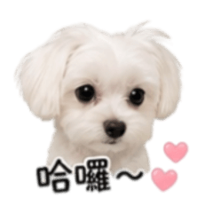 Dudu World