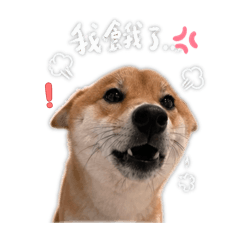 Lica醬日常貼圖