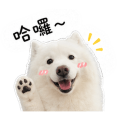 陳小尼