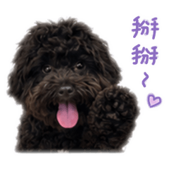 咘咘傢伙
