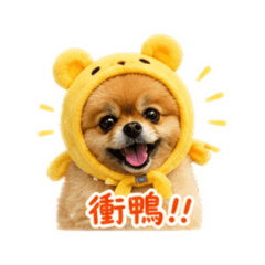 潑許第三彈⊹˚. ♡