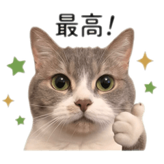 aoi_20260507220301