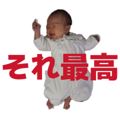 shimizuk_20260507220840