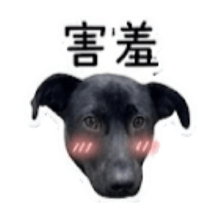 膽小鬼炭吉
