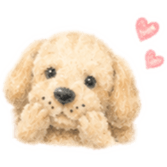 Myou_20260507202833