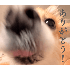 mugidesu_20260507202629