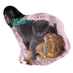 MUGI_20260507211015