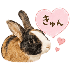 Mugi's mom_20260507211459