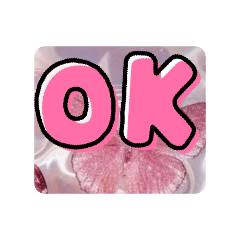kirakawamikanmo