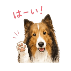 megu_20260507210807