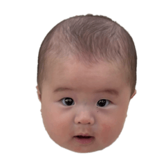 mai_20260507211957