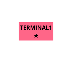 star airlines