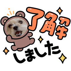 junna_20260507223108