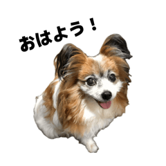 NANA_20260507222940