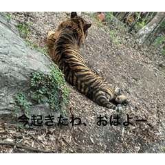 Kanato_20260507223558