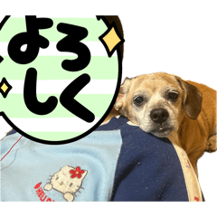 junjun_20260507223458