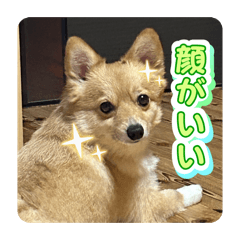 Riko_20260507203744