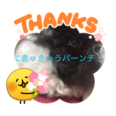kuromi_20260507204207