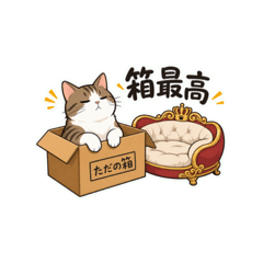 yuyu0505_20260507213432