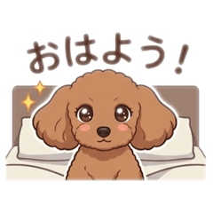 MOCO_20260507225610