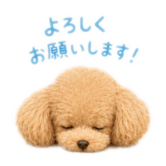 Chako_20260507225359