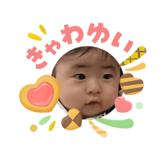 TOWA_20260507204909