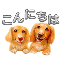 choco25_20260507205434