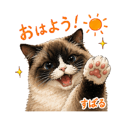 kon_20260507205537