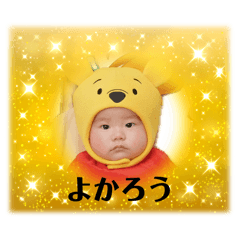 ume_20260507205217