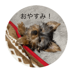 TAICHI_20260507205443