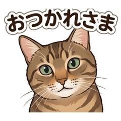 YO KU_20260507204744