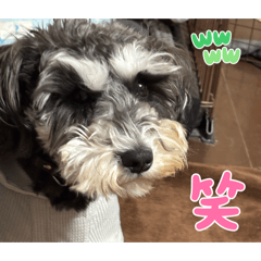 FUNA_20260507215909