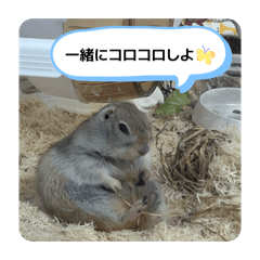 momo_20260507232824