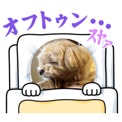 hyu_20260507233124