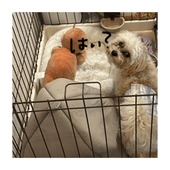kina_20260507233323