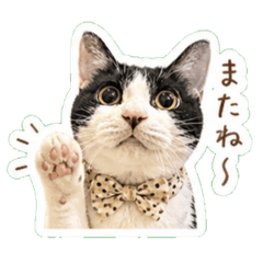 kuroro_20260507233232