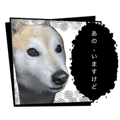 Ahiru03_20260507234014