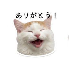 Pachu_20260507234358