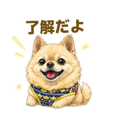 y'k_tnk