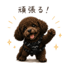 ankoro_20260507233841