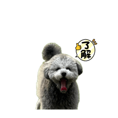 Peat_20260508000952