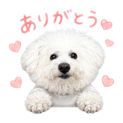 Rinko_20260508001108