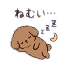 kurumin_20260507205949