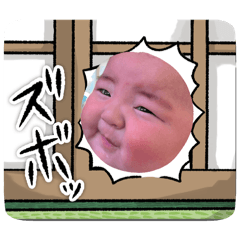 mrmm202605