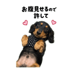 yorikundesuyo