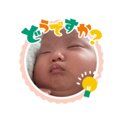 taro_20260507212828