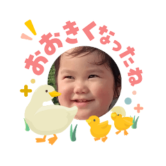 coo_20260507214822