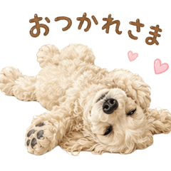tantan_1108530